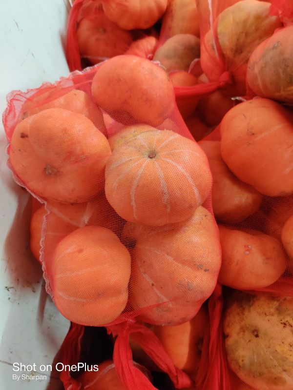 Fresh Pumpkin
