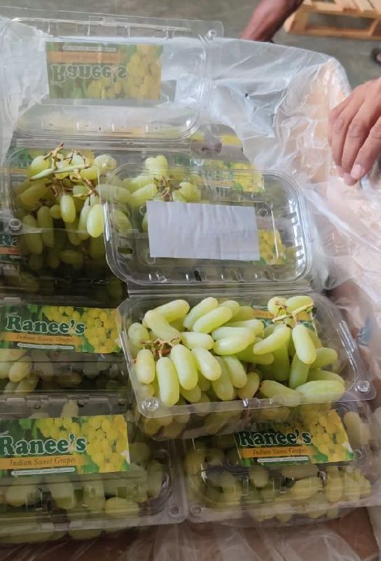 Fresh Seedless Grapes